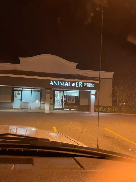 AA Animal ER Center, Florida, Palm Harbor